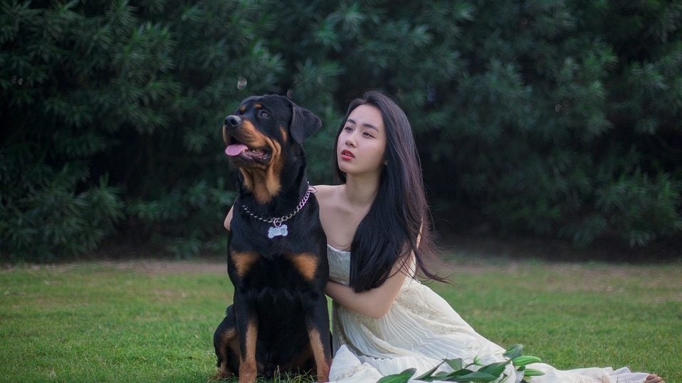 A bride sits in the grass with her dog.