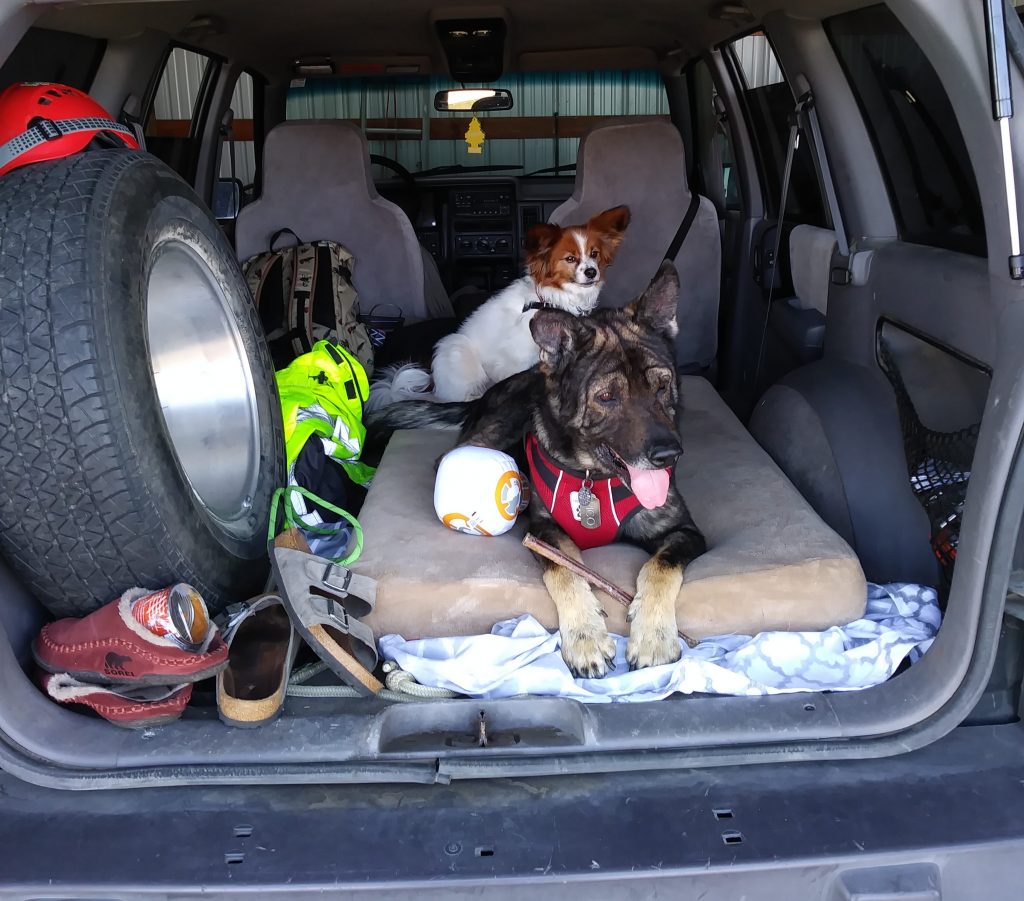 Pico and Marz wait in the back of a car.