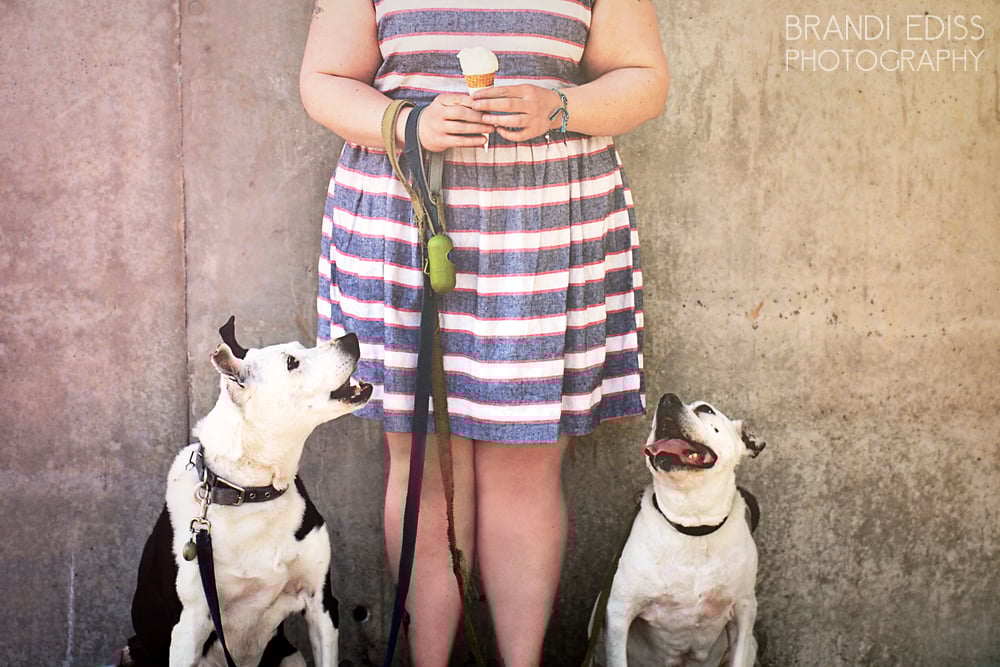 How to Plan a Fab Outdoor Photo Shoot With Your Dog The Dog People by