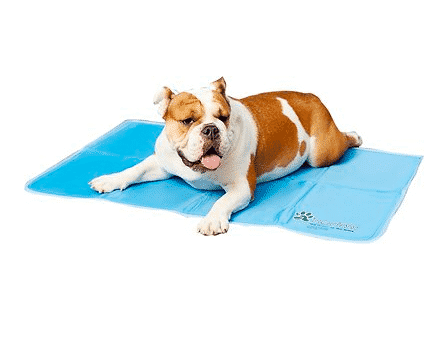 dog lounging on Green Pet Shop cooling pad