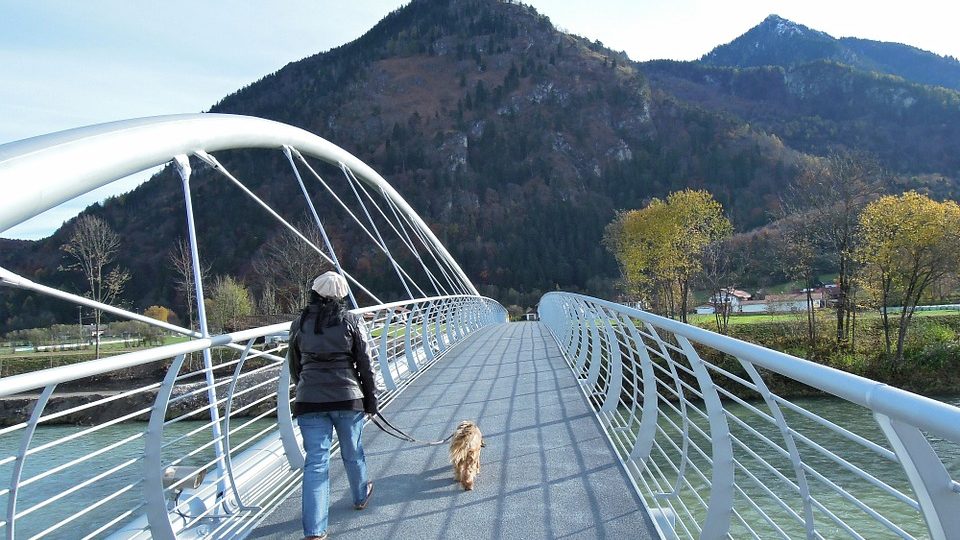 A woman walks her Rover dog on a bridge.