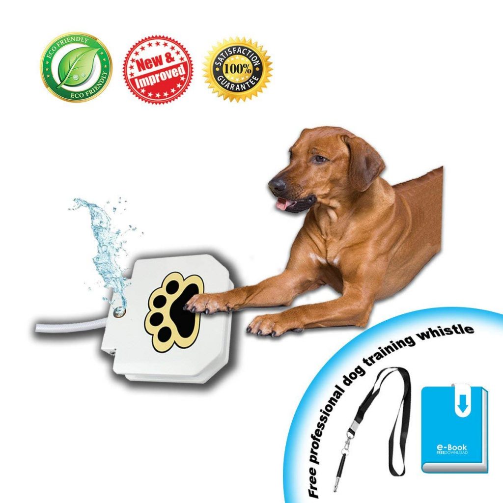 7 Best Cooling Products for Dogs The Dog People by