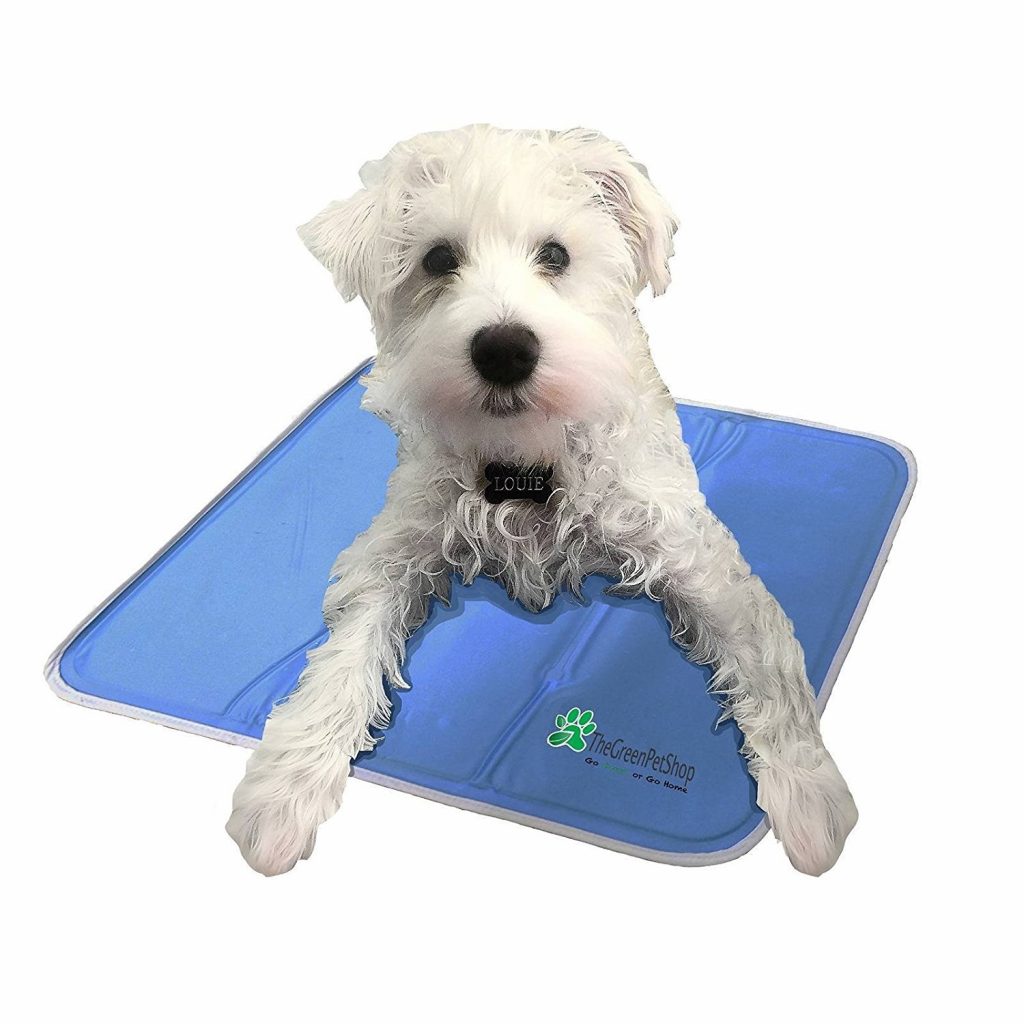 7 Best Cooling Products for Dogs The Dog People by