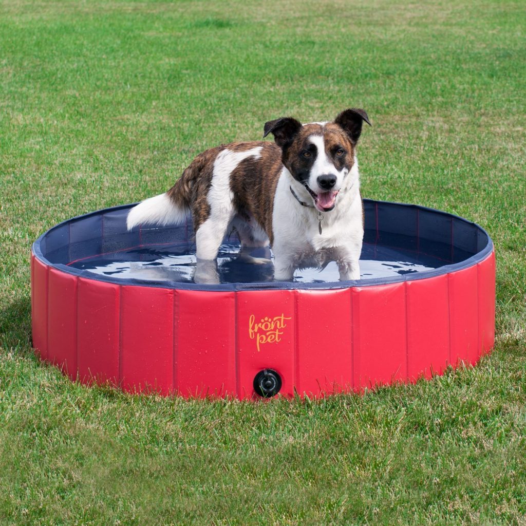 7 Best Cooling Products for Dogs The Dog People by
