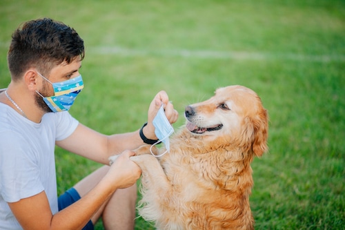 Man and dog wearing masks outdoor