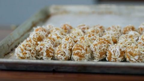 No-Bake Coco-Nutter Dog Treats