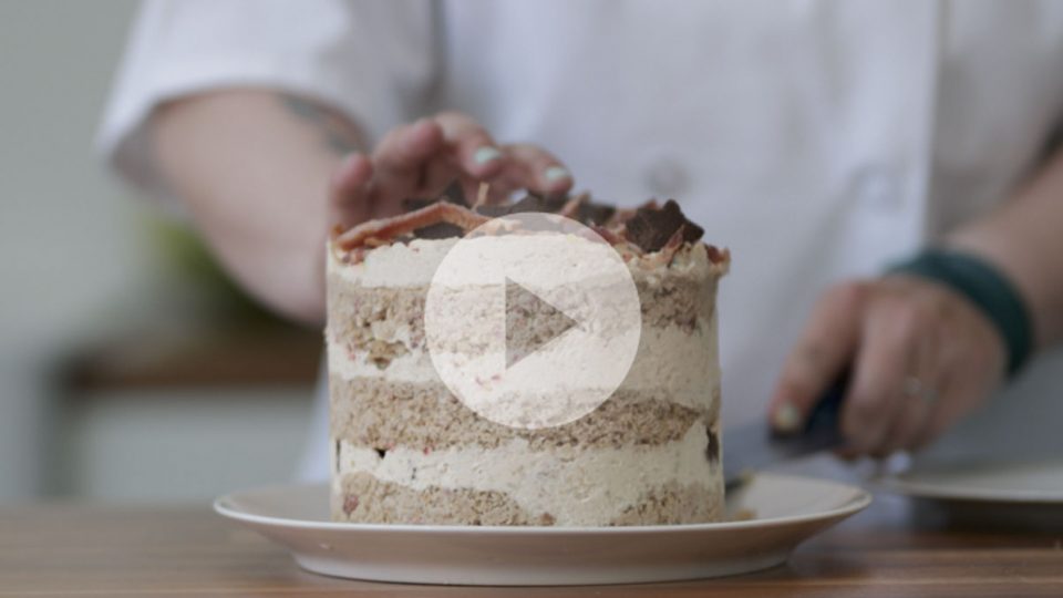 Dog Friendly Birthday Cake Humans Can Eat Dog Friendly Birthday Cake Humans Can Eat