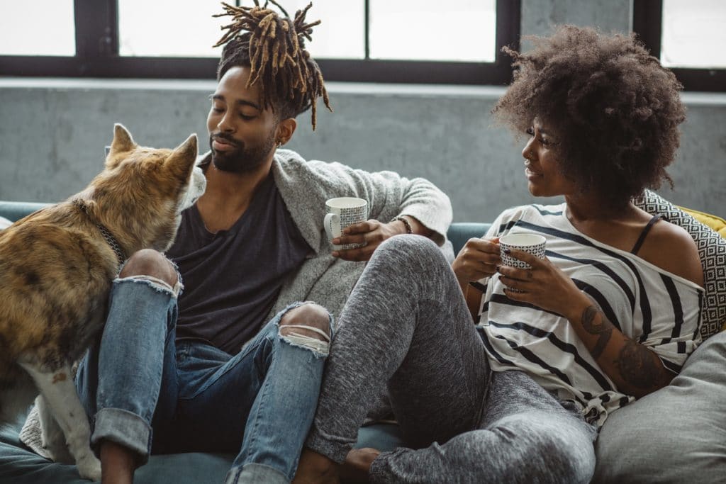 How Do I Keep My Dog Off The Couch With Aluminum Foil