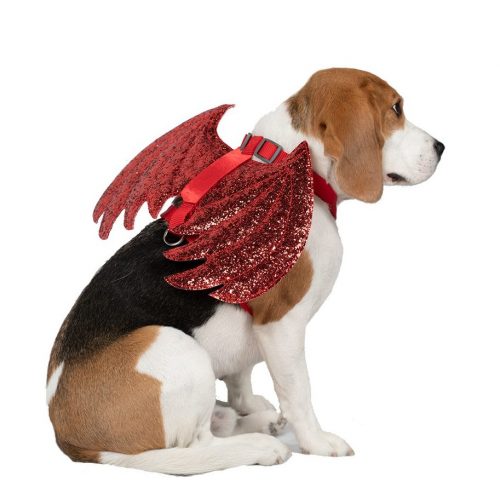 devil wings costume for dogs harness