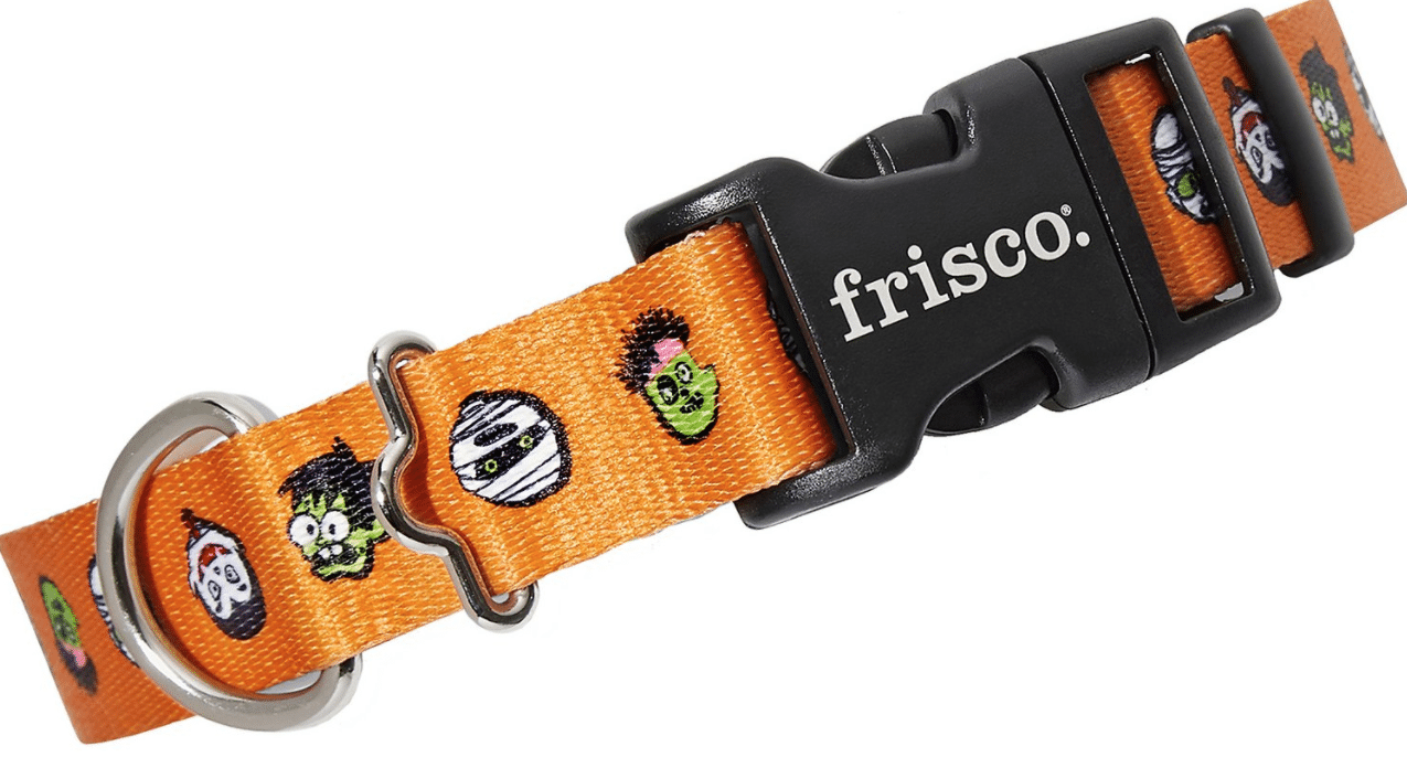 Halloween Dog Collars 19 Halloween Collars Your Dog Needs