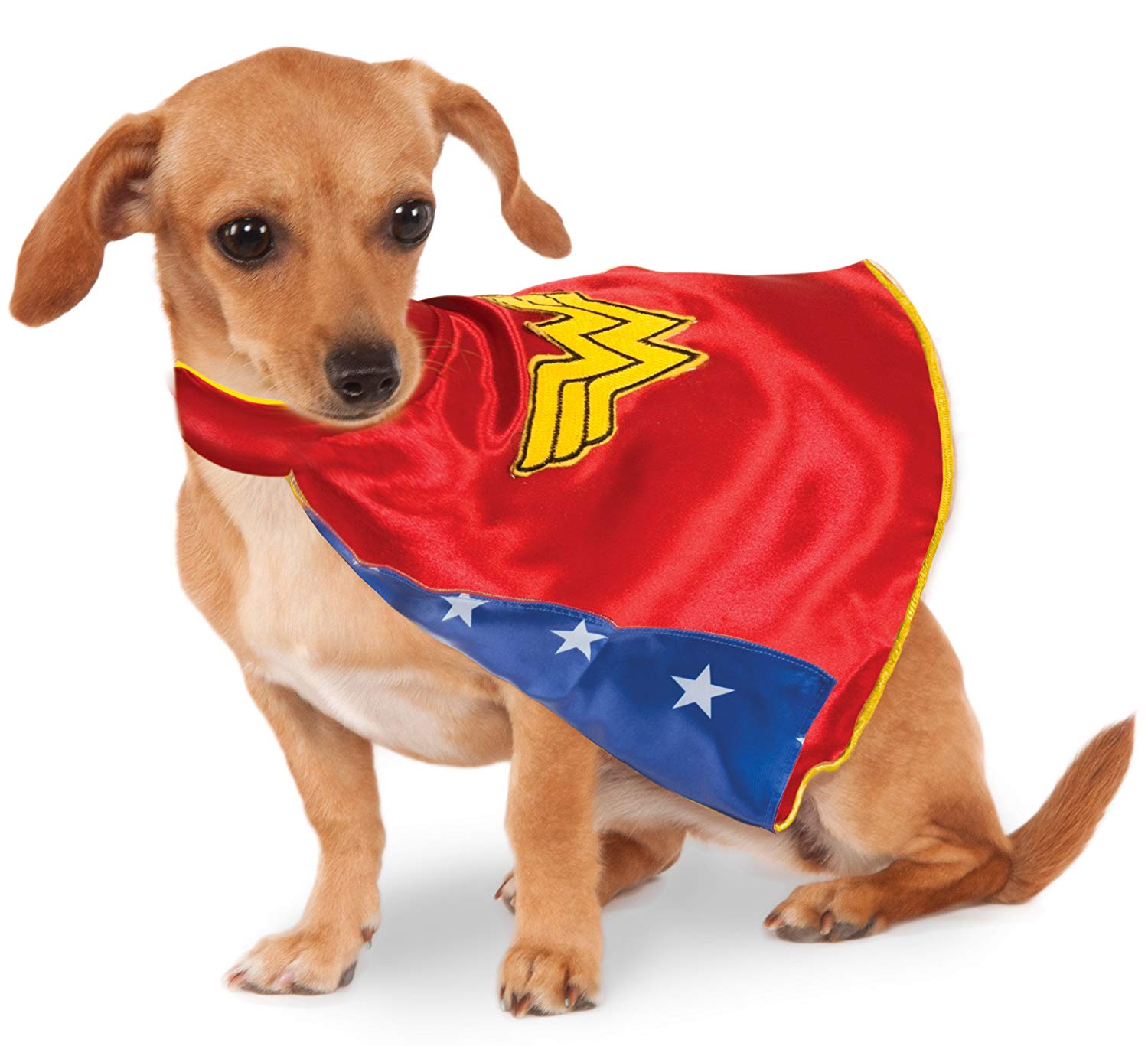 capes for dogs a dog wearing a Wonder Woman cape