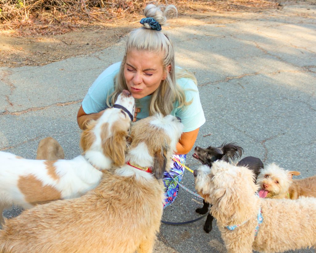 For This Rover Sitter, Pet Sitting and Rescue Work go Hand in Hand