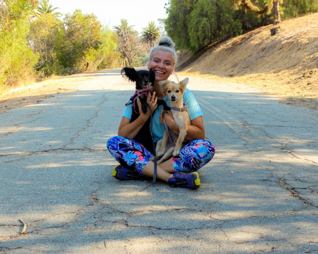 For This Rover Sitter, Pet Sitting and Rescue Work go Hand in Hand