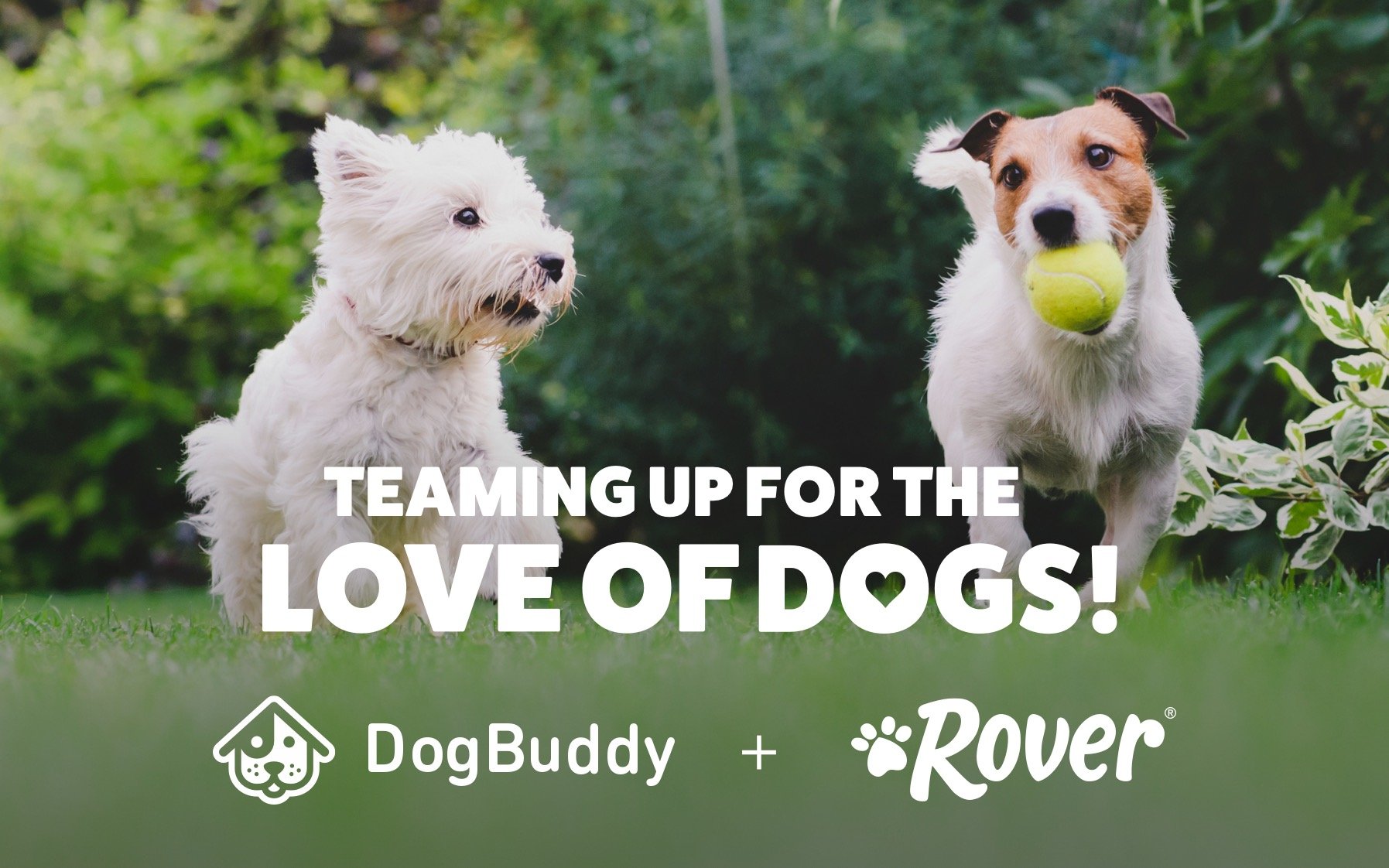 Leading Pet Care Company Accelerates European Growth With