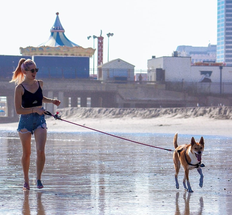 A woman walking a dog on the beach, laughing.
