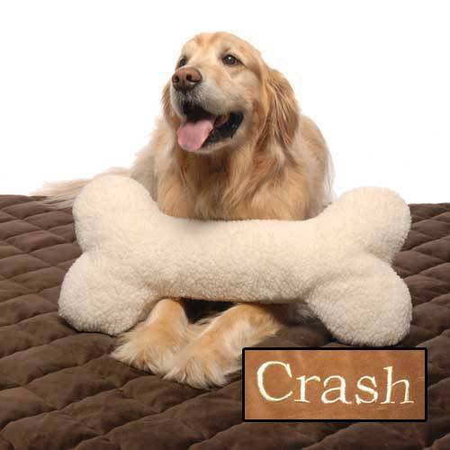 Dog with large plush bone toy