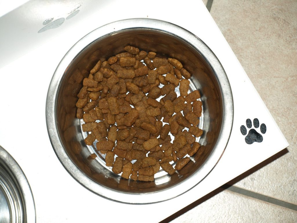 top natural dog food brands