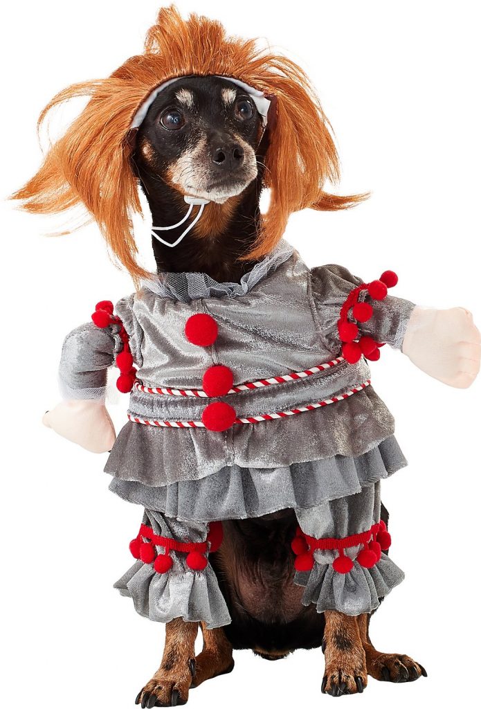 12 Best Scary Dog Costumes For 2019 Reviewed For Your Spooky Pooch