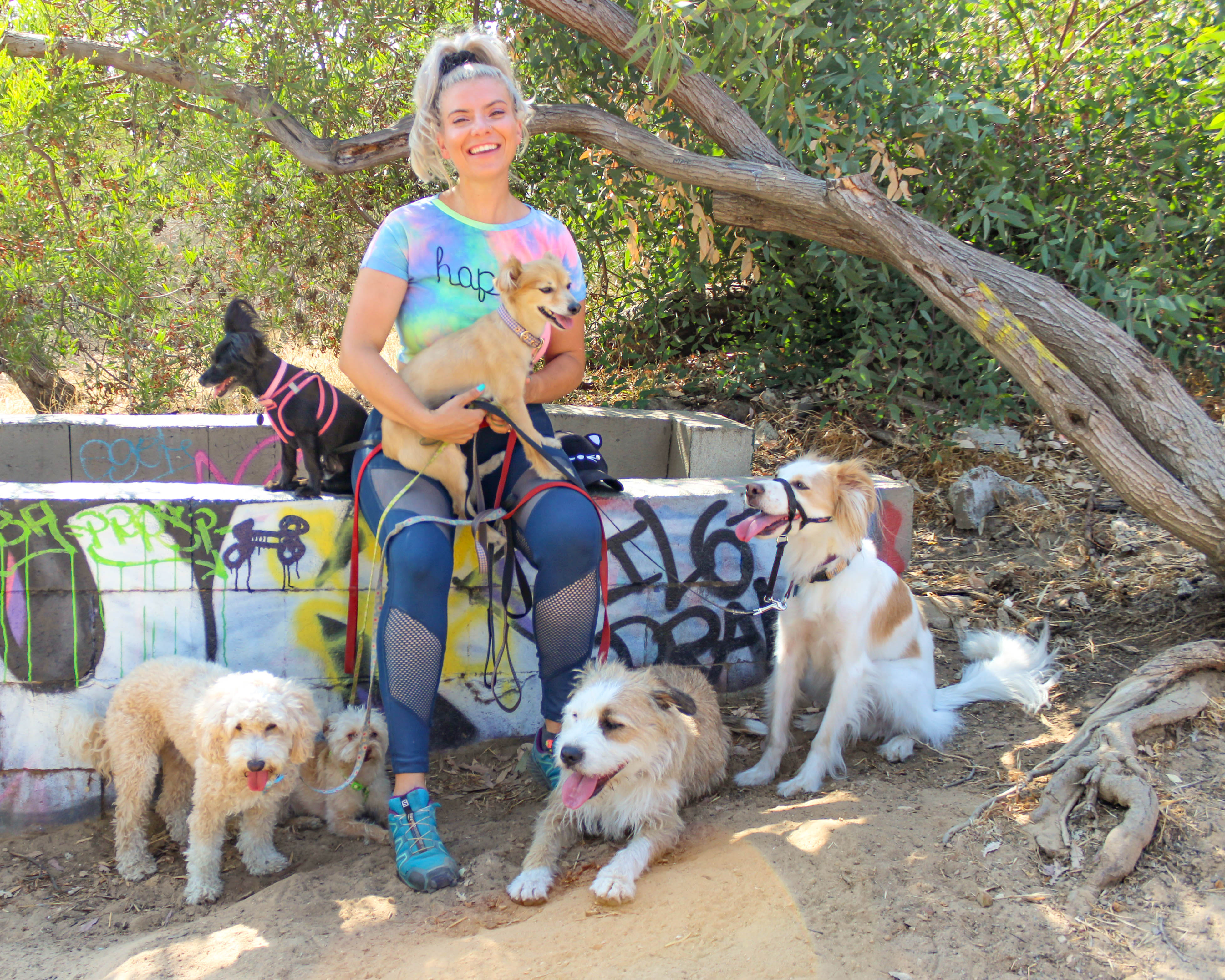 For This Rover Sitter, Pet Sitting and Rescue Work go Hand in Hand