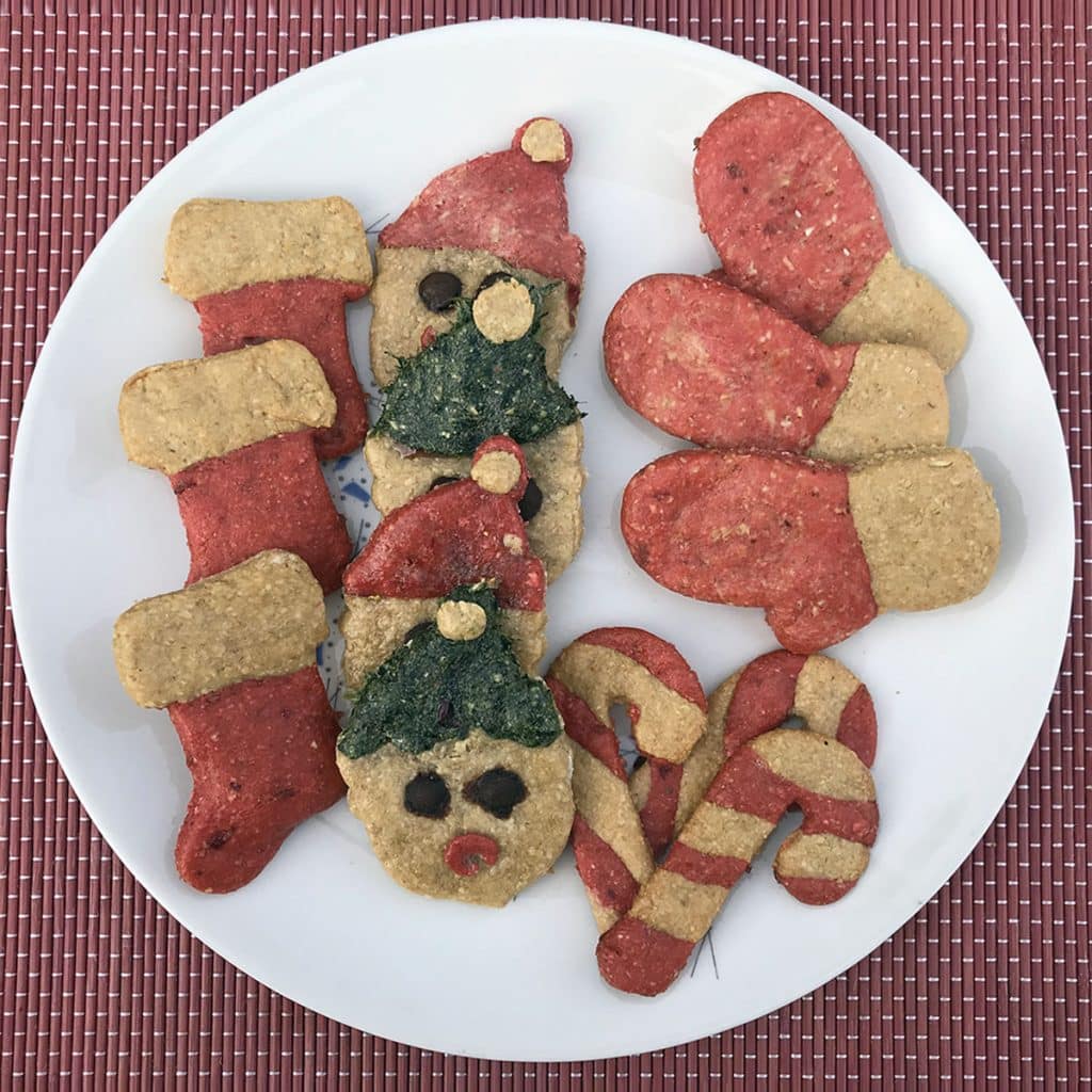 Dog Christmas Treat Recipes Our Favorite DIY Dog Christmas Cookies