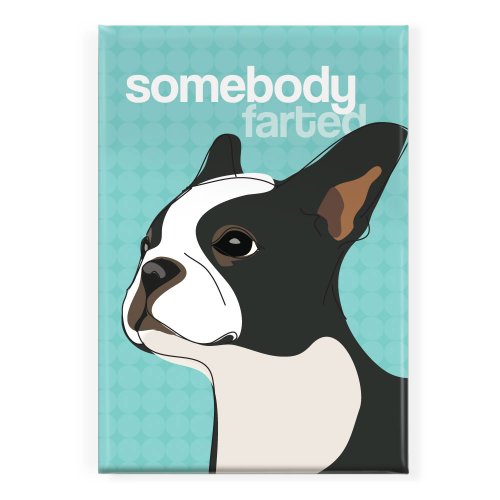 magnet that says "Somebody farted" with Boston Terrier illustration on front on teal background
