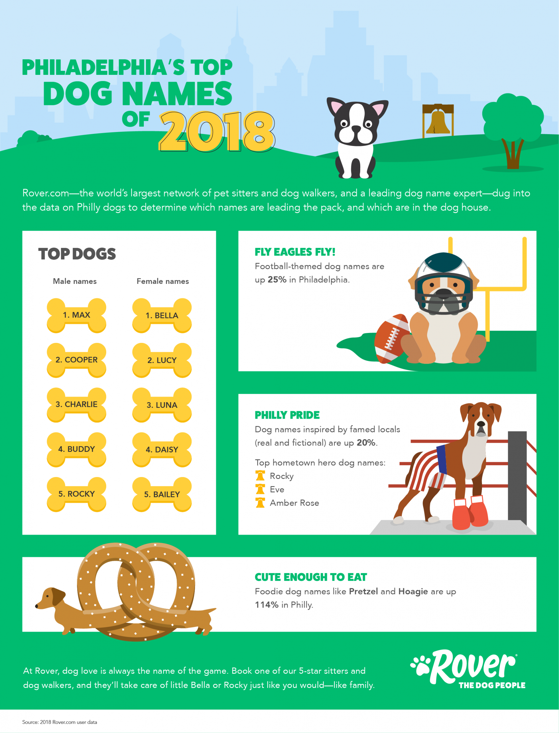 Philadelphia Eagles Dog Names Philadelphia Eagles Dog Names