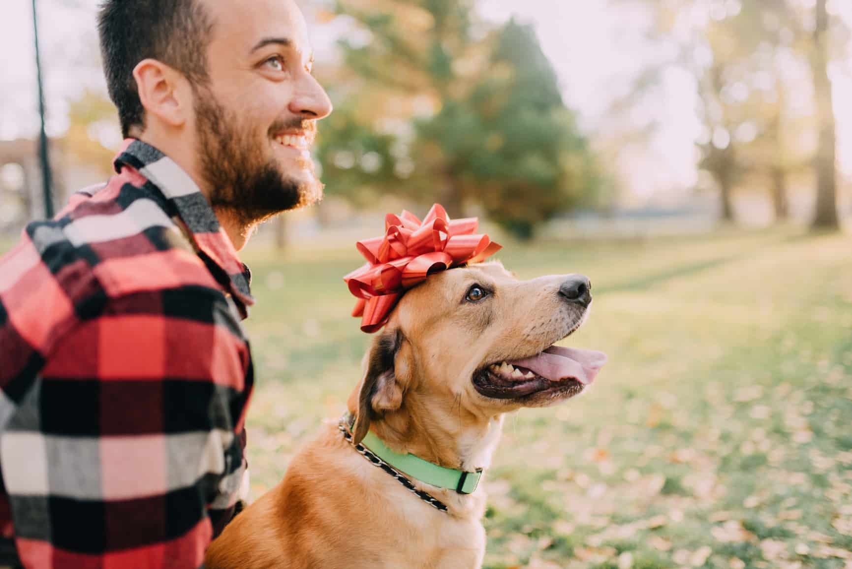 pet gift guide