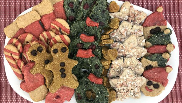 colorful holiday cookies for dogs HERO