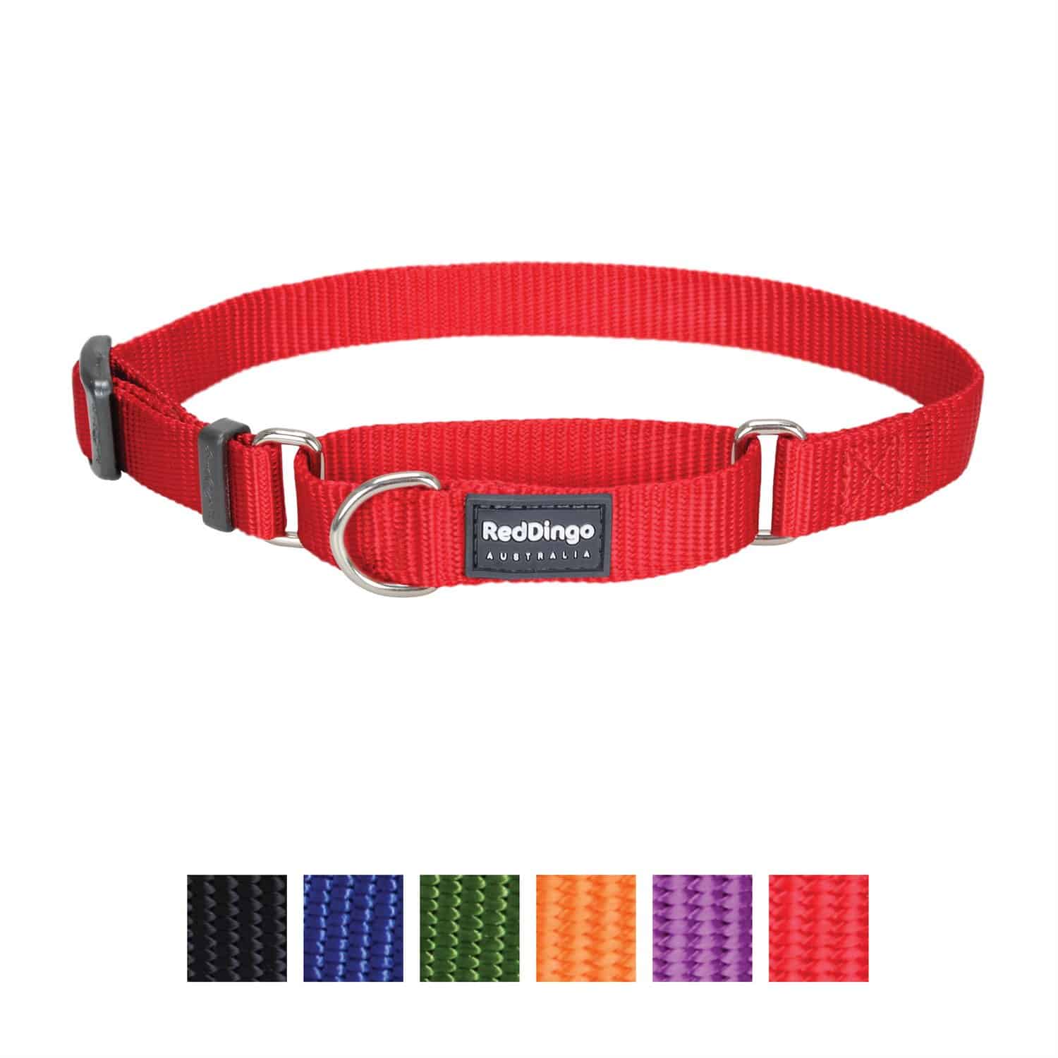 Martingale Dog Collars How to Use Them and Which Are Best The Dog