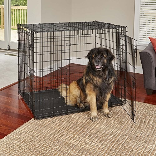 biggest dog kennel available