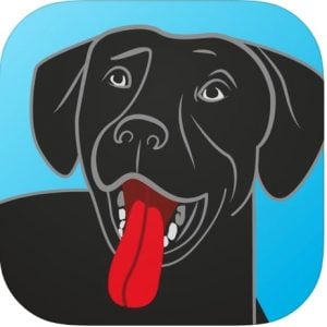 Bring Fido App