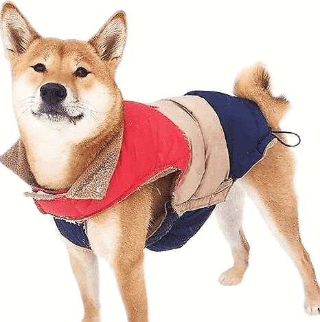 best dog raincoat best dog raincoat