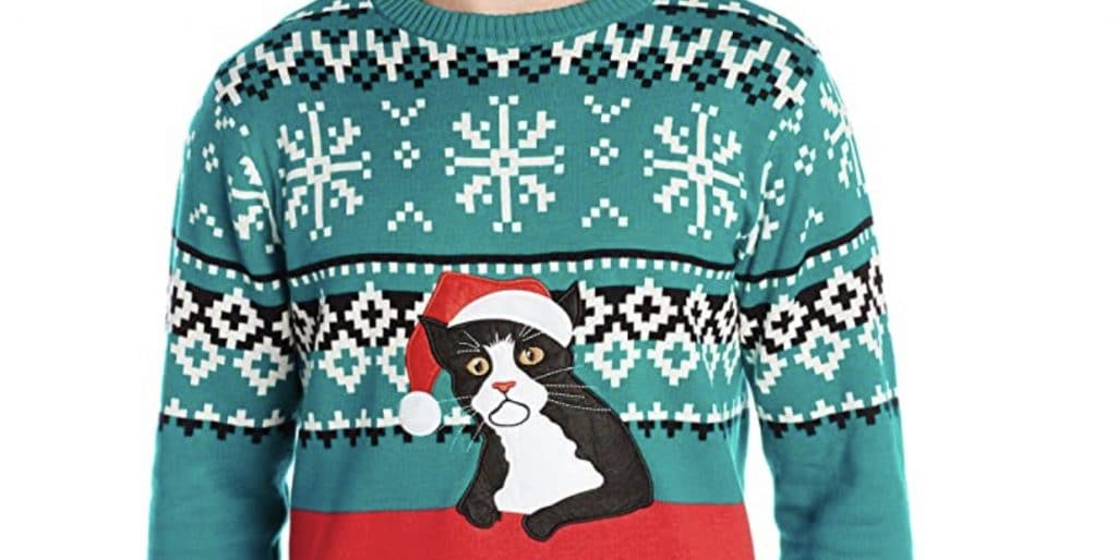 sweatshirt you can put your cat in