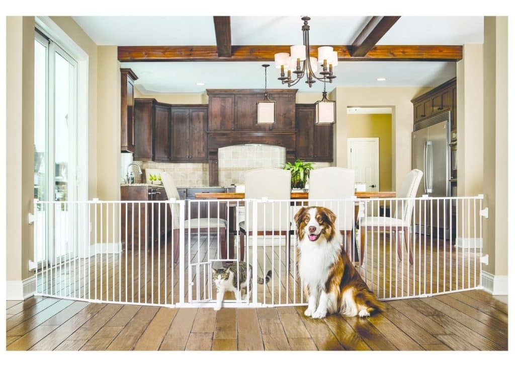 The Top 10 Cheap Dog Fences for 2019 | The Dog People by Rover.com
