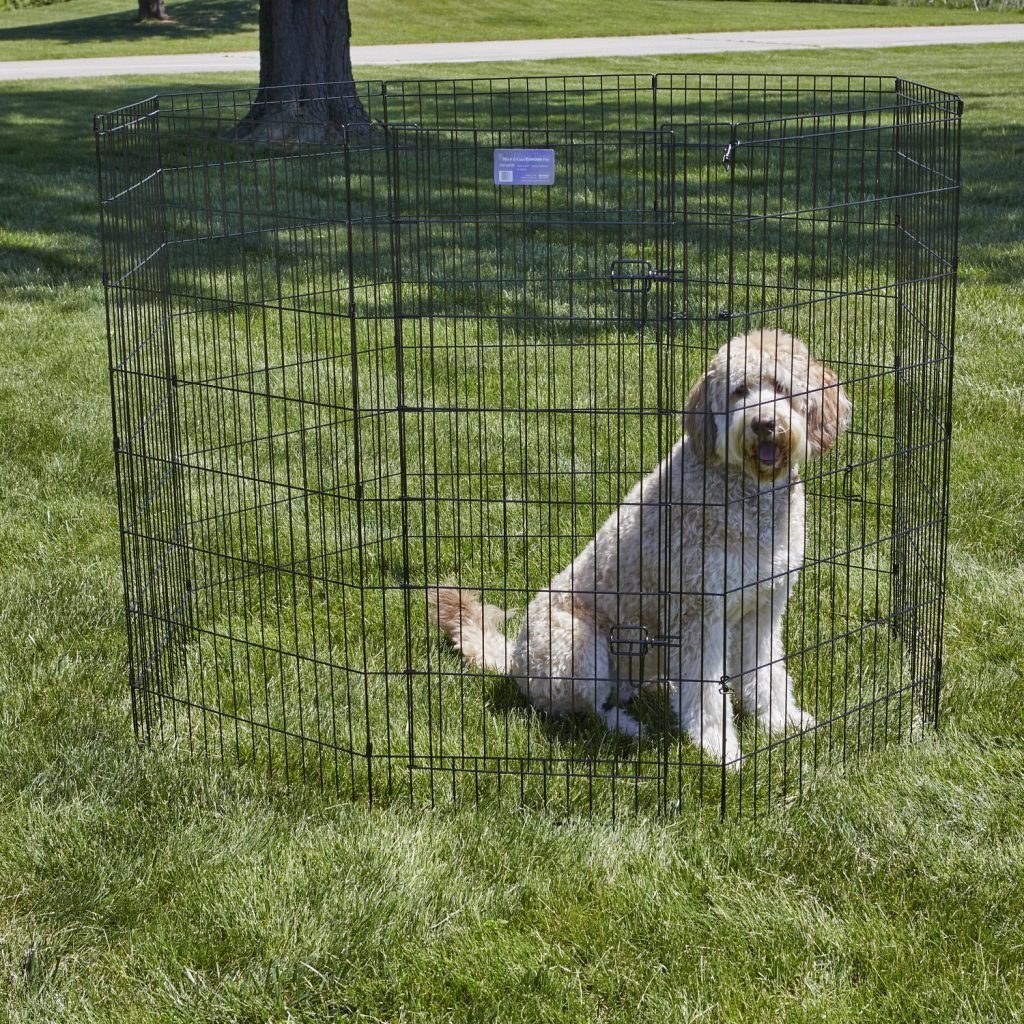 cheap and easy dog fence
