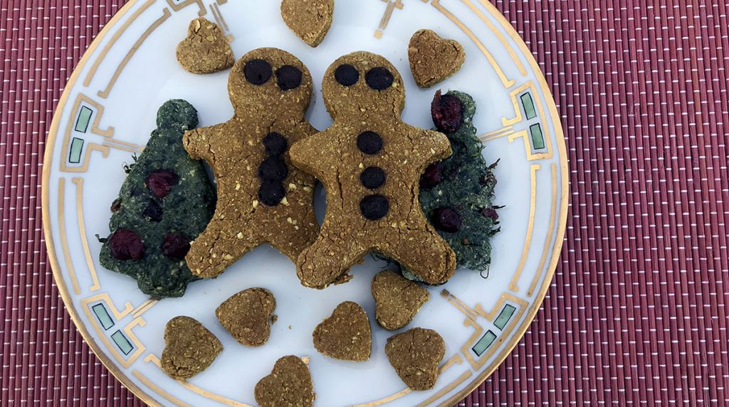 plate of gingerbread winter dog treats