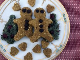 ginger biscuits for dogs