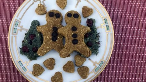 Plate of gingerbread cookies for dogs with carob buttons and eyes