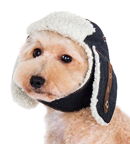 dog hats for cold weather