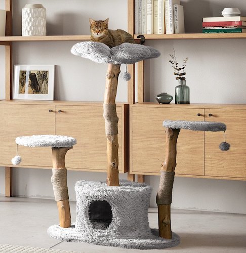 exotic cat trees