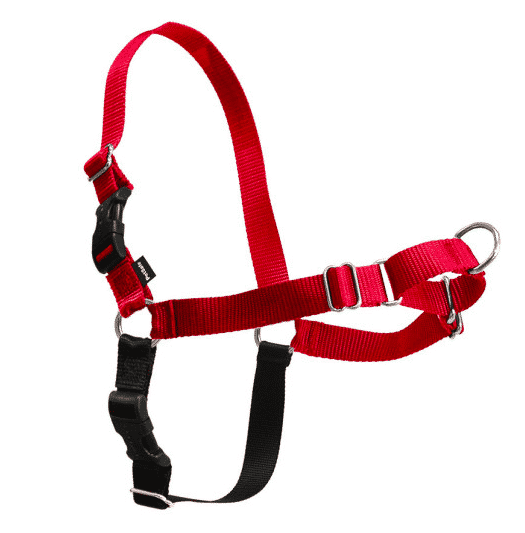 Easy Walk Harness Buying Guide What to Know Before You Buy