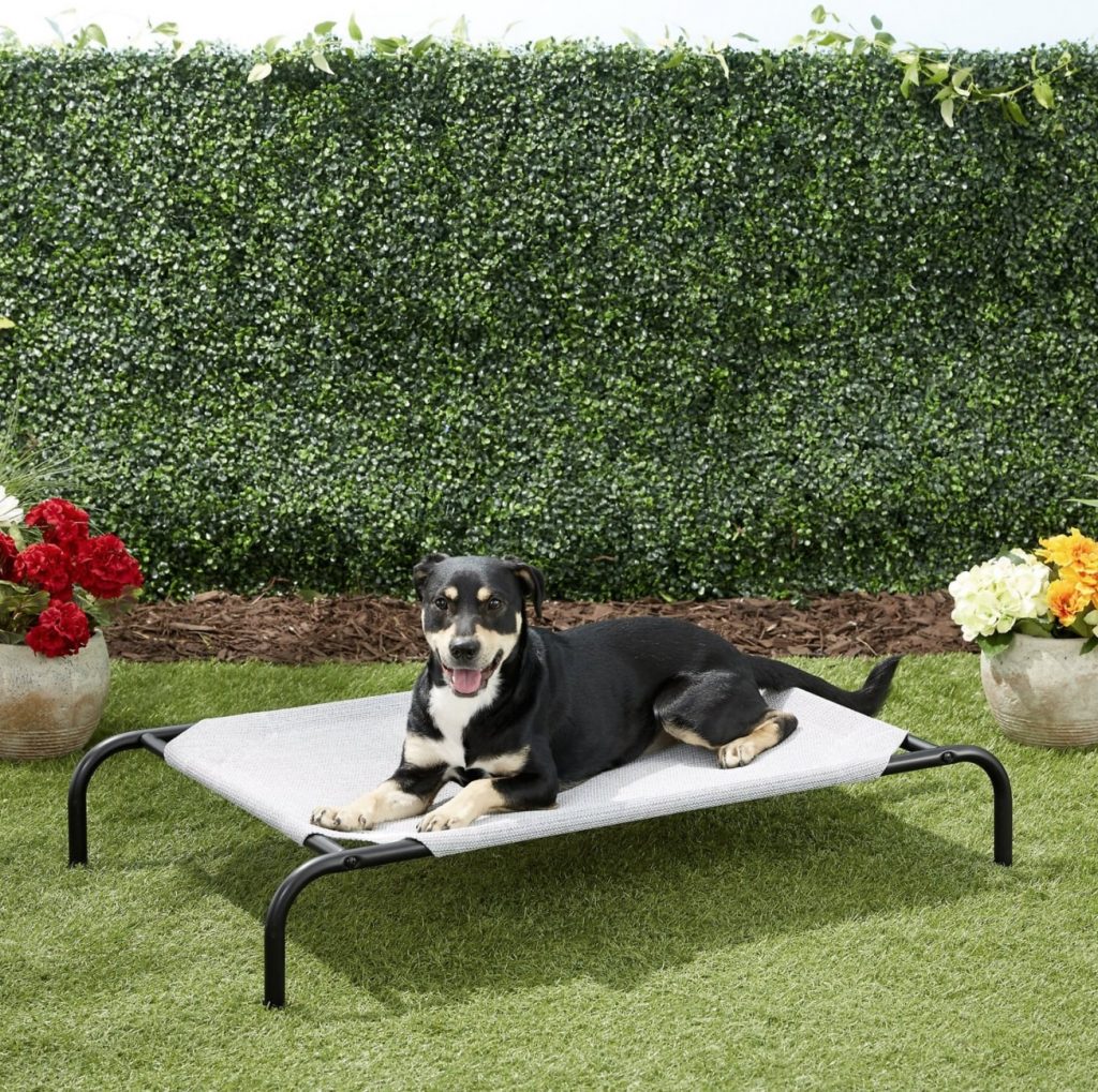 The Very Best Dog Beds for Large Dogs 2020 (Updated)