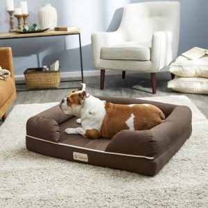human sized dog bed