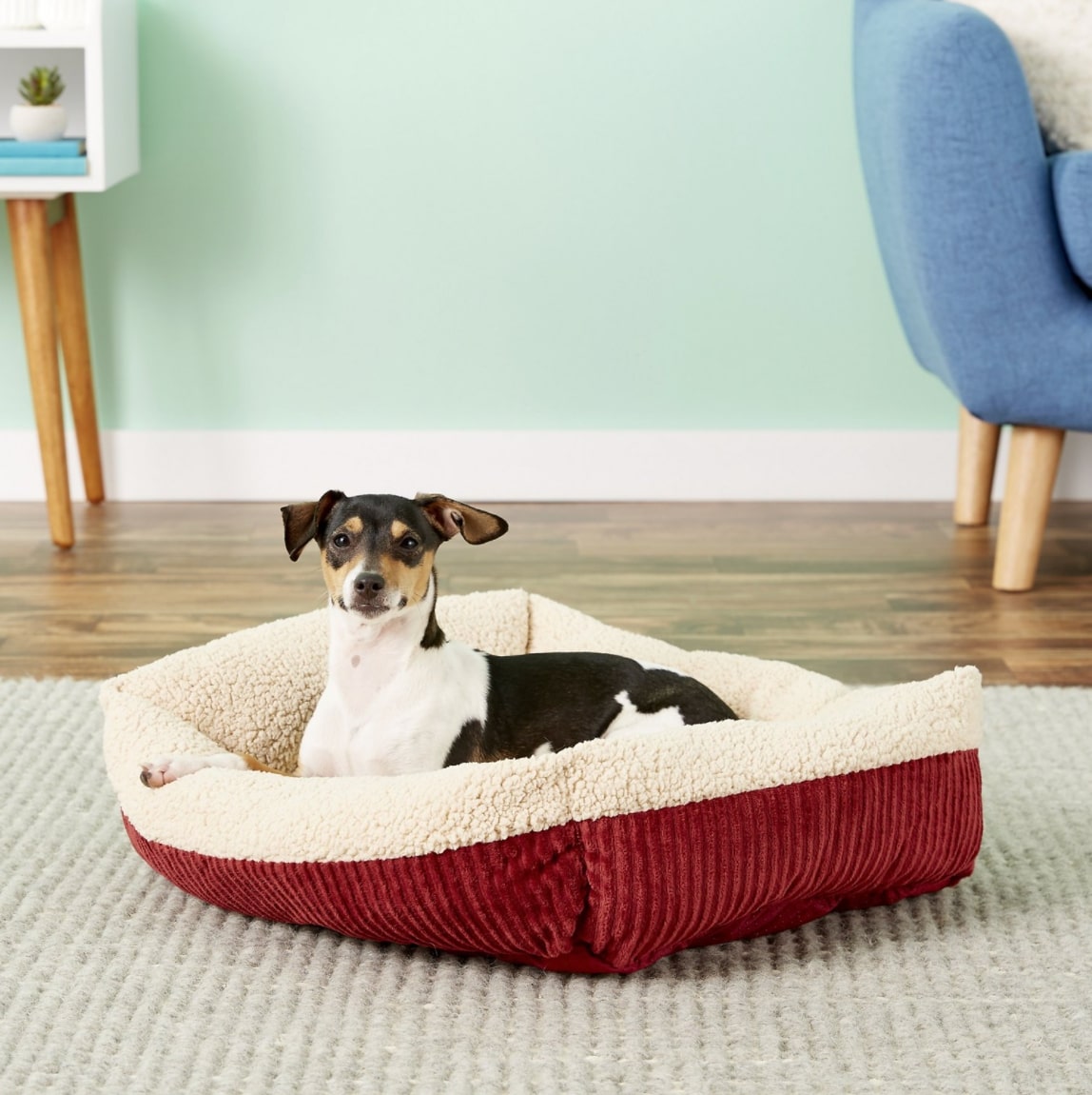 Small Dog Beds The Best Small Dog Beds for Your PintSized Pal