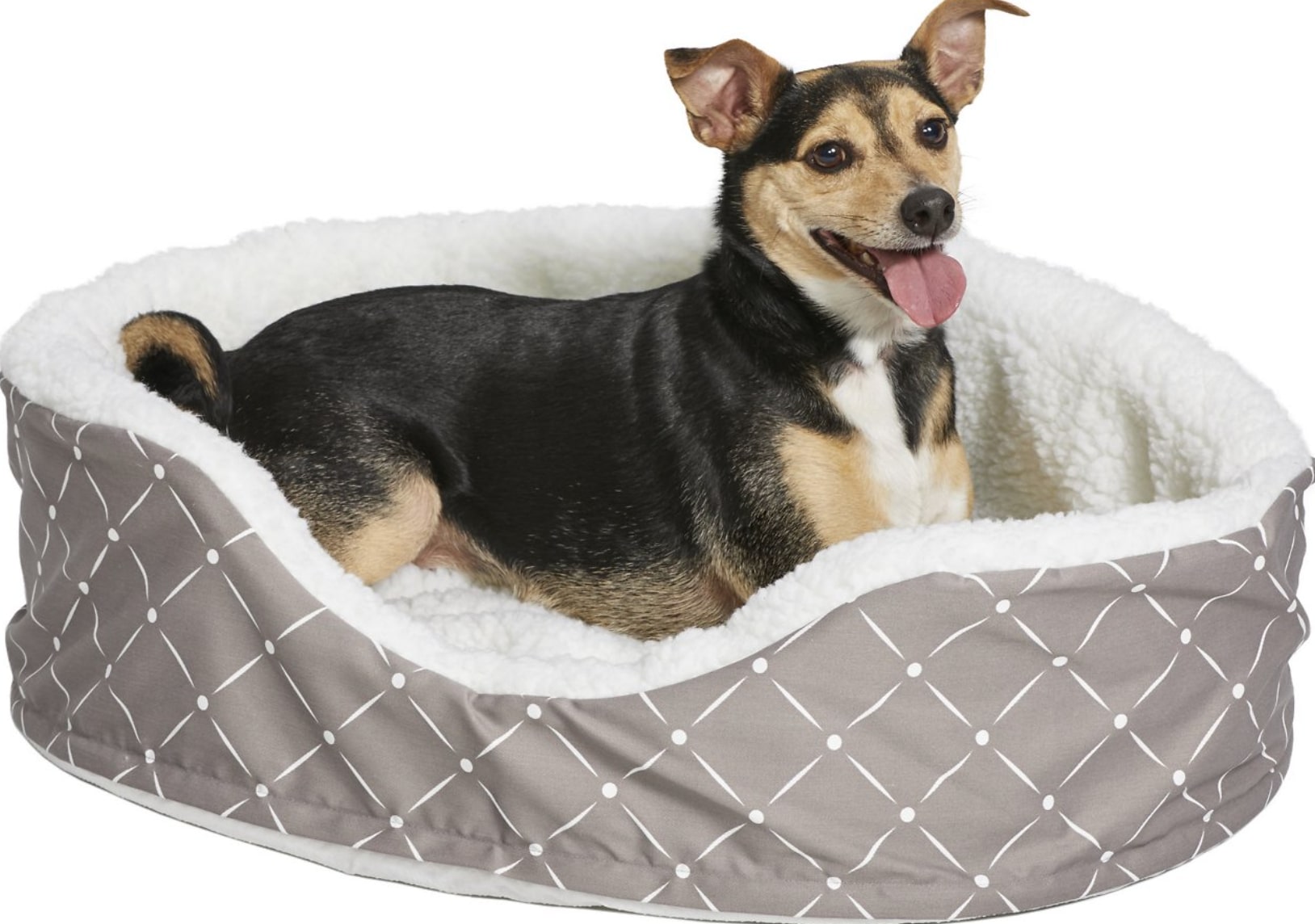 Small Dog Beds The Best Small Dog Beds for Your PintSized Pal