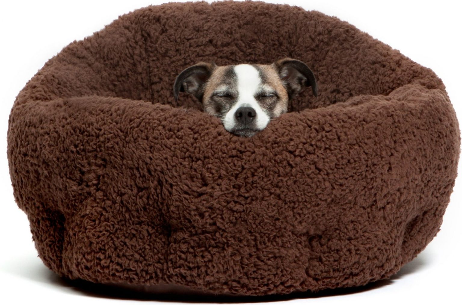 Small Dog Beds The Best Small Dog Beds for Your PintSized Pal