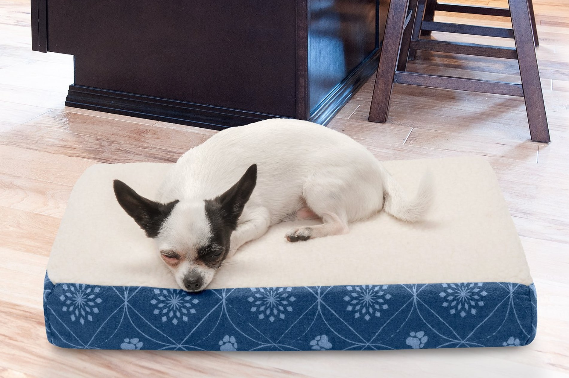 Small Dog Beds The Best Small Dog Beds for Your PintSized Pal