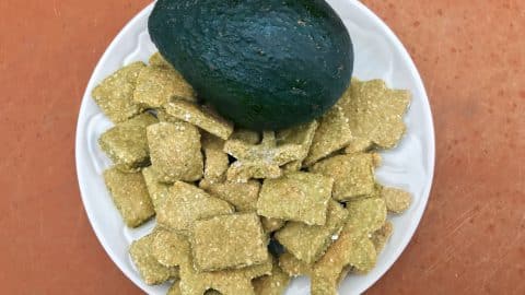 avocado dog treats
