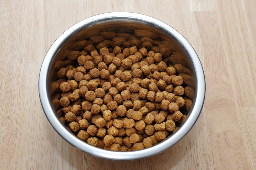 Does Dog Food Go Bad? The Dog People by