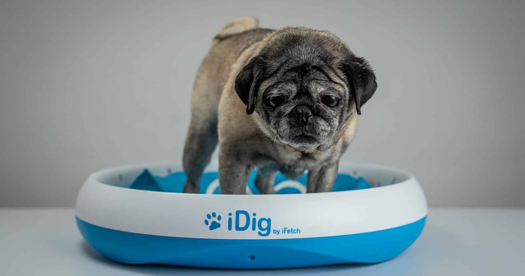 iDig Digging Toy by iFetch, Is it Worth The Money?